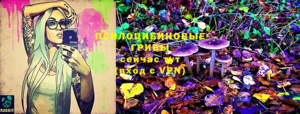 эйфоретик Аркадак