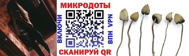 Псилоцибиновые грибы Psilocybe  продажа наркотиков  Ельня 